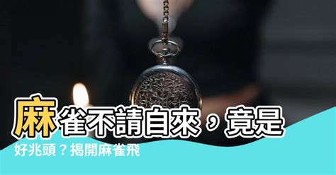 家裡飛來麻雀|【麻雀飛到家裡】麻雀飛進家有啥神奇預示？竟和財運。